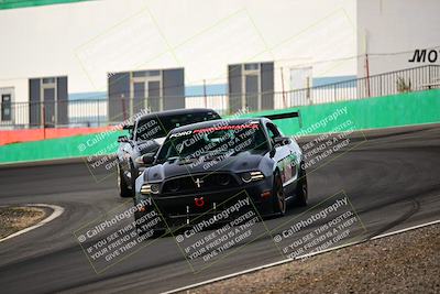 media/Feb-25-2024-Speed Ventures (Sun) [[b9a2a97a4d]]/Mustang Drivers Club/Session 1 (Turns 4 and 5)/